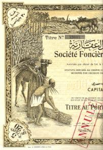 Towarzystwo Rolnicze Cheikh-Fadl w Egipcie 1945
