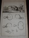 41. ENCYCLOPEDIE DIDEROT, Recueil de Planches (...). CHASSE. Polowania 23 PL. 1763