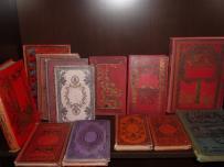 208. ZBIÓR 14 książek w oprawie kartonaż z przełomu XIX i XX. 1877-1914