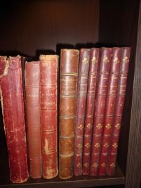 209. ZBIÓR 9 książek w dużym formacie w oprawie bordowej z przełomu XIX i XX. Od 1877 roku