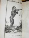 Buffon Historia naturalna Małpy, orangutan, pawian, koczkodan 36 rycin 1799