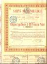Zbiór 4 francuskich akcji kolonialnych z Gujany Francuskiej 1896-1953